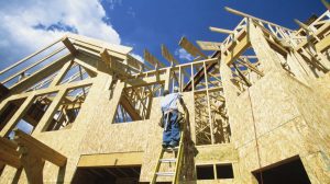 construction contractor