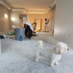 renovate