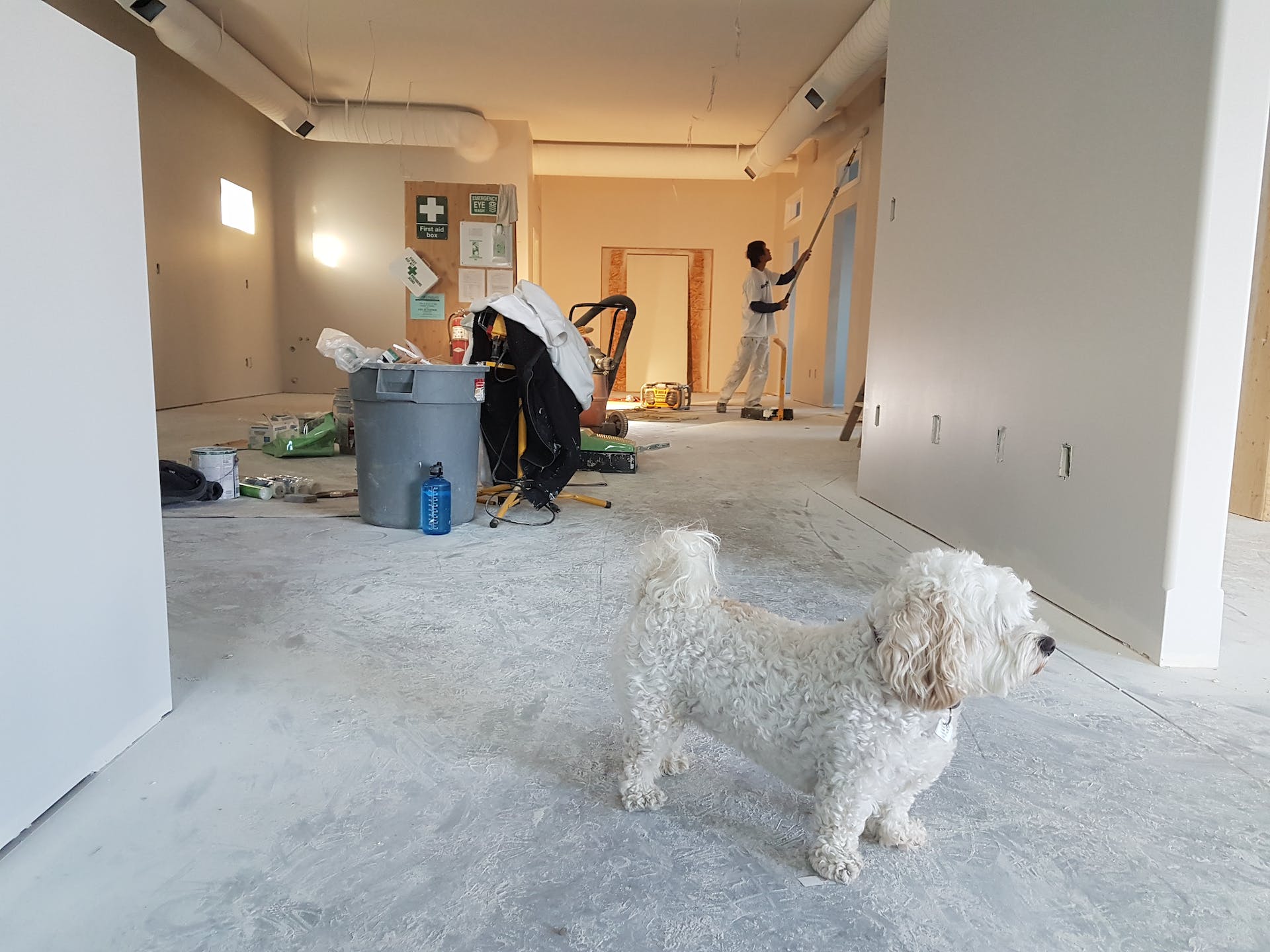 renovate
